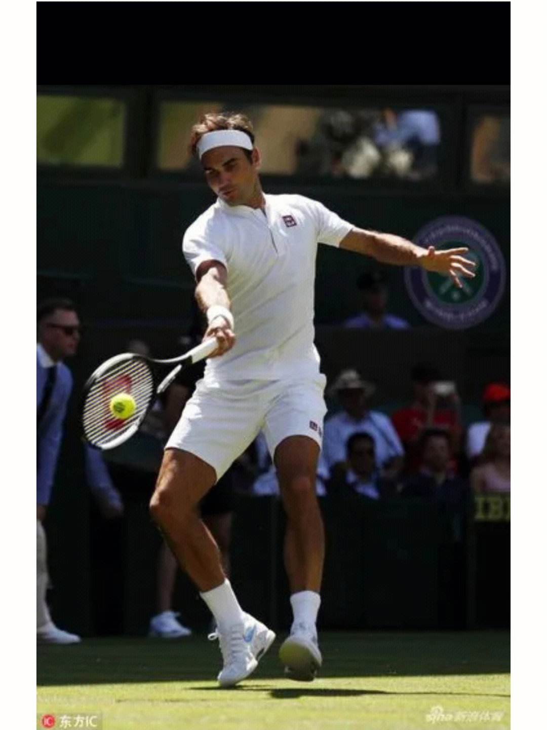  费德勒赛事官方发布连败新规，雄鹿争议不断！